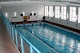 Тиры и стрелковые клубы Бригантина детско-юношеский клуб физической подготовки по плаванию
