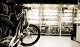 Прокат велосипедов Вело extreme, клуб-магазин