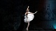 Театры Русский балет